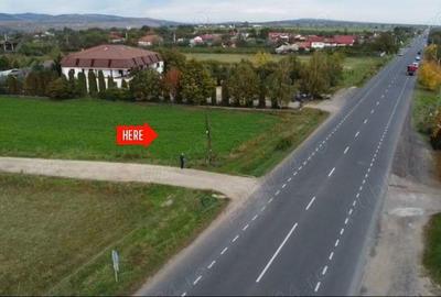 Vand teren intravilan 5000mp, Posta Calnau - 3