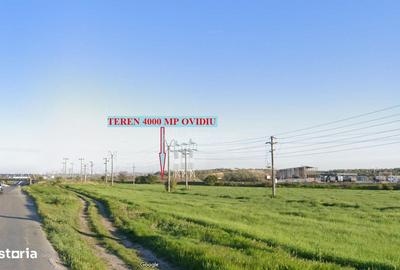 Teren de 4000 mp, în Lumina - 2