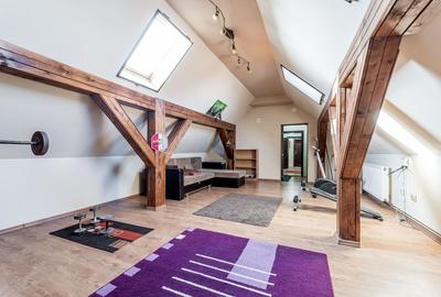 Vilă cu 4 apartamente aproape de centrul Timișoarei - 3