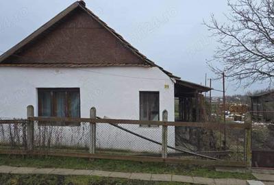 Vand casa veche la ?ara,cu teren aferent,la 5km de sta?iunea balneara Ta?nad! - 4