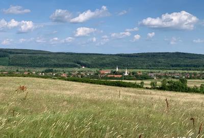 Asociere Inchiriere Hala si 40.000 mp intravilan - 1