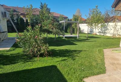 Snagov, vila individuala P+1, 6 camere, teren 2481 mp, - 8