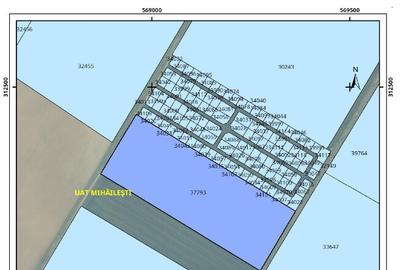 Teren extravilan 83500mp in Mihaile?ti, Giurgiu - 2