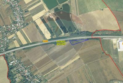 Teren Construcții intravilan de 11842 mp, în Bolintin-Deal - 5