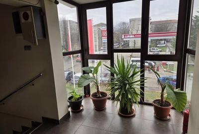 Salon, Birou,Sala Curs - 7