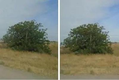 Teren extravilan arabil cota parte 3/32 Smardan, ID: R2763211 - 1