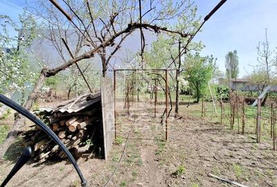 Casa "la gri" cu gradina, zona Calea Aurel Vlaicu - Bujac - 8