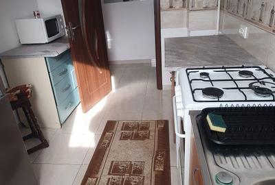 Apartament cu 2 camere semidecomandat în Noua - 3