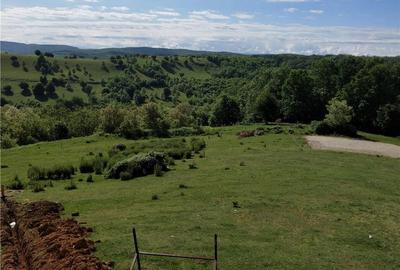Casă cu 3 camere în Brusturi - 1