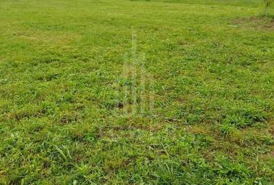 Spațiu comercial, în Central - 3