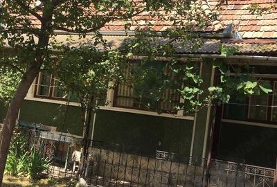 Casă cu Teren 6500 Mp în Dretea - 7