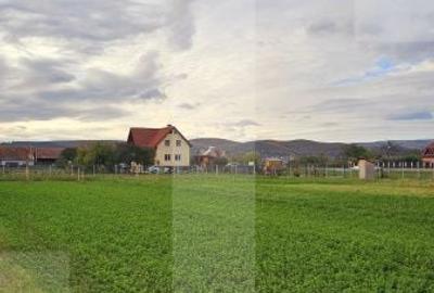 Teren de 1000 mp, în Central - 1