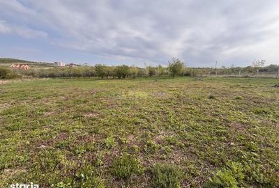 Teren de 793 mp, în Paleu - 4