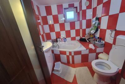 Casa de vanzare, 500Mp, Albesti, Mures - 11