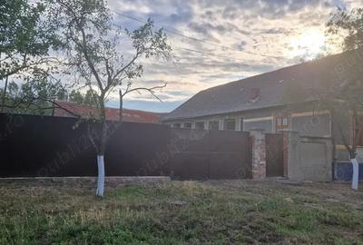 Vand casa cu gradina - 3