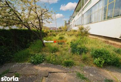 Apartament cu 2 camere în Iorga - 9