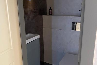 Spațiu comercial, în Dosu Bricii - 4