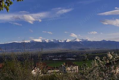 Casă în Hațeg - 1