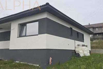 Casă cu Teren 500 Mp în Viișoara - 1