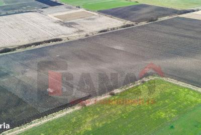 Spațiu comercial, în Șura Mică - 10