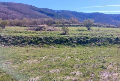 Spațiu comercial, în Poplaca - 4