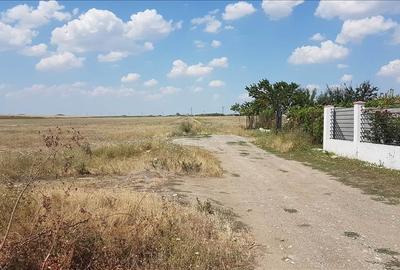 TEREN INTRAVILAN CONSTRUIBIL 469 MP. LANGA CASE ZONA IN DEZVOLTARE PRET 17.500 E - 5