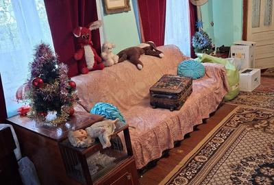 Casă cu 2 camere cu Teren 890 Mp în Podari - 2