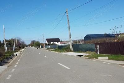 Teren lot de casa sau pentru hala in Gadin?i! - 4