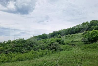 Teren de 15000 mp, în Gilău - 2