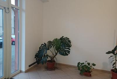 Studio de vanzare Tractorul - 2