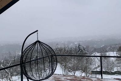 Casă cu 2 camere în Nistorești - 7