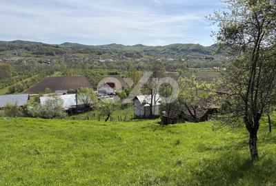 Teren Construcții intravilan de 14613 mp, în Bârseștii de Sus - 2