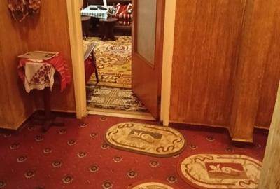 Apartament cu 2 camere decomandat, mobilat în Dristor - 3