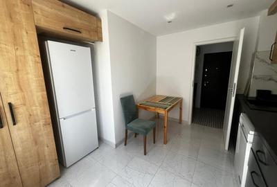 Apartament Victoriei -  Banu Manta - 6