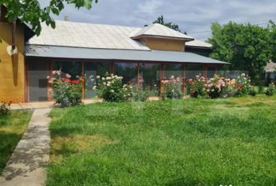 Casă cu 4 camere cu Teren 1710 Mp în Central - 3