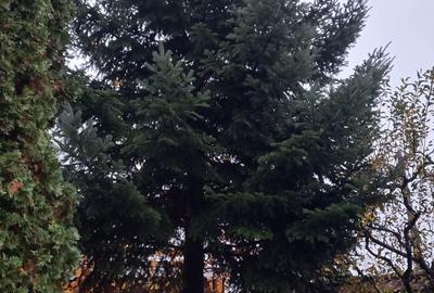 Casă cu 6 camere cu Teren 912 Mp în Nord