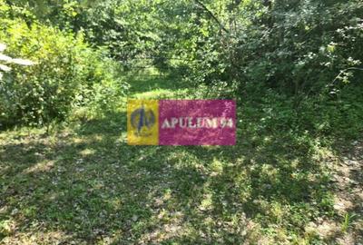 Teren Construcții intravilan de 532 mp, în Poiana Câmpina
