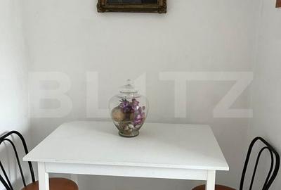 Apartament cu 2 camere decomandat în Plopilor - 5