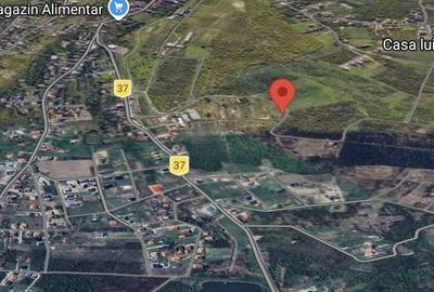 Teren de 1927 mp, în Paleu