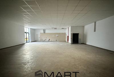 Spatiu Comercial/Hala 210 mp , Calea Dumbravii - 2