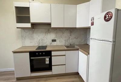 Apartament cu 1 camera in zona Crisan - 4