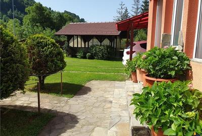 FILM!  Moieciu de Jos, Bran, pensiune in conditii apreciabile - 29