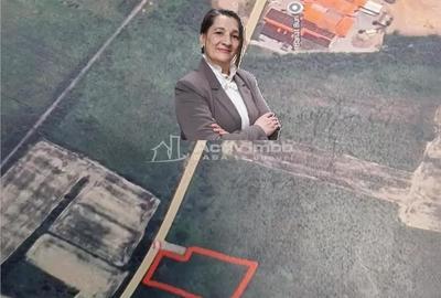 Teren de 1500 mp, în Sud - 2