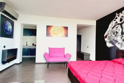 Apartament cu 2 camere decomandat în Nord - 8