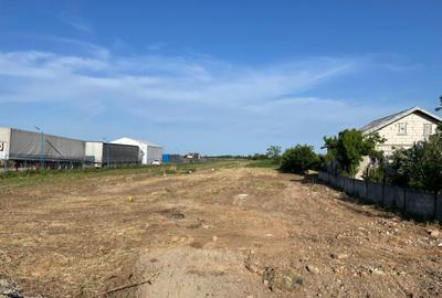 Teren de 8700 mp, în Coșoveni - 9