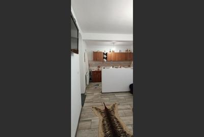 Constructie cu 3 apartamente + teren+ 2 spatii comerciale - 5