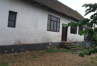 Casă cu 3 camere în Șicula - 4