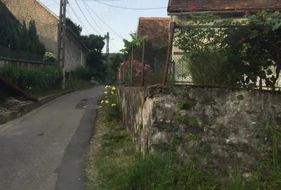 Vand casa in Sasca Montana Vand casa in Sasca Montana - 3