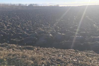 Teren de 2600 mp, în Rădăuți