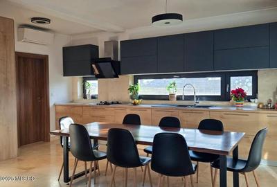 Mosnita - Str Faget - Vila P+1, 3 Dormitoare, Birou, Teren 600 MP - 3